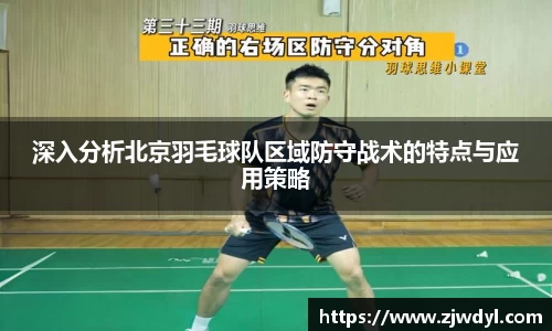 深入分析北京羽毛球队区域防守战术的特点与应用策略
